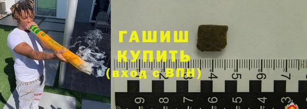 прущие грибы Инсар