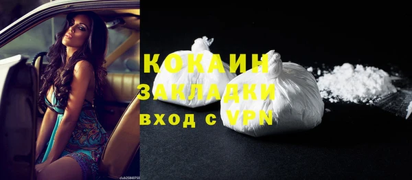 прущие грибы Инсар
