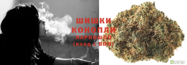прущие грибы Инсар