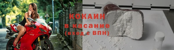 прущие грибы Инсар
