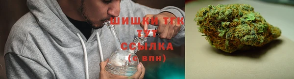 прущие грибы Инсар