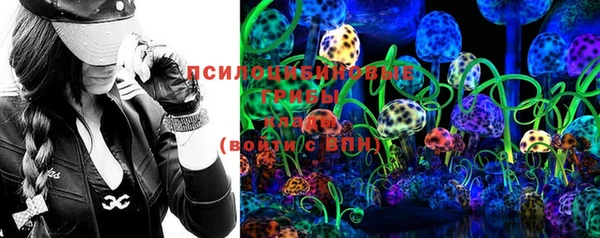 прущие грибы Инсар