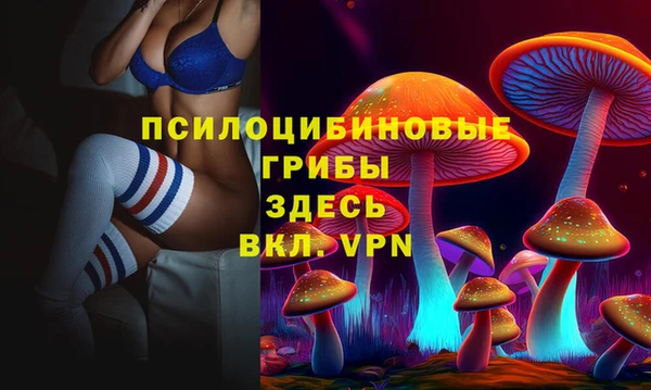 прущие грибы Инсар