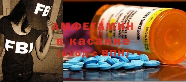прущие грибы Инсар