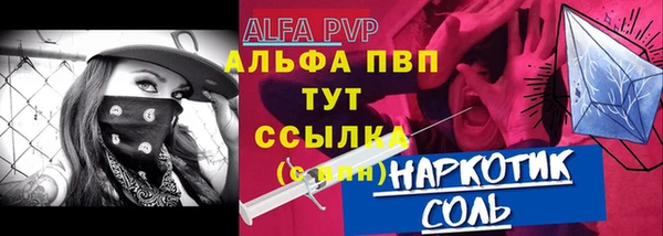 прущие грибы Инсар