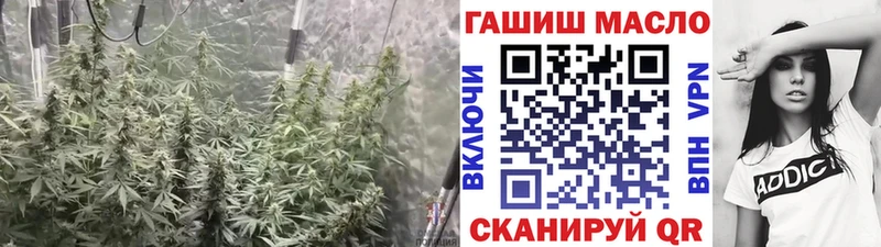 Купить  Гусиноозёрск  Дистиллят ТГК вейп с тгк 