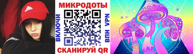 Псилоцибиновые грибы мицелий Гусиноозёрск