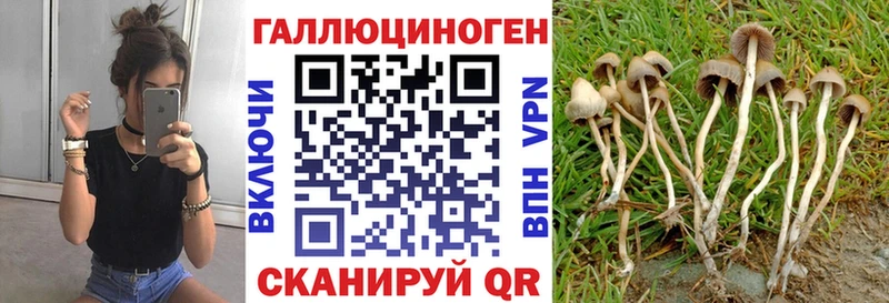 Купить закладки  Гусиноозёрск  Галлюциногенные грибы мухоморы 